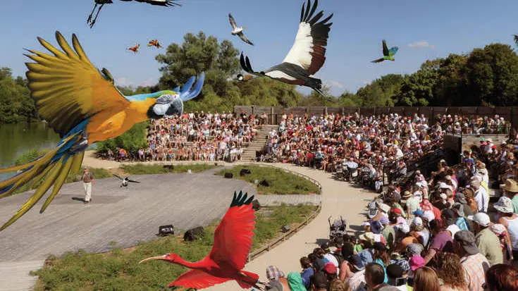 Parc ornithologique de Villars les Dombes