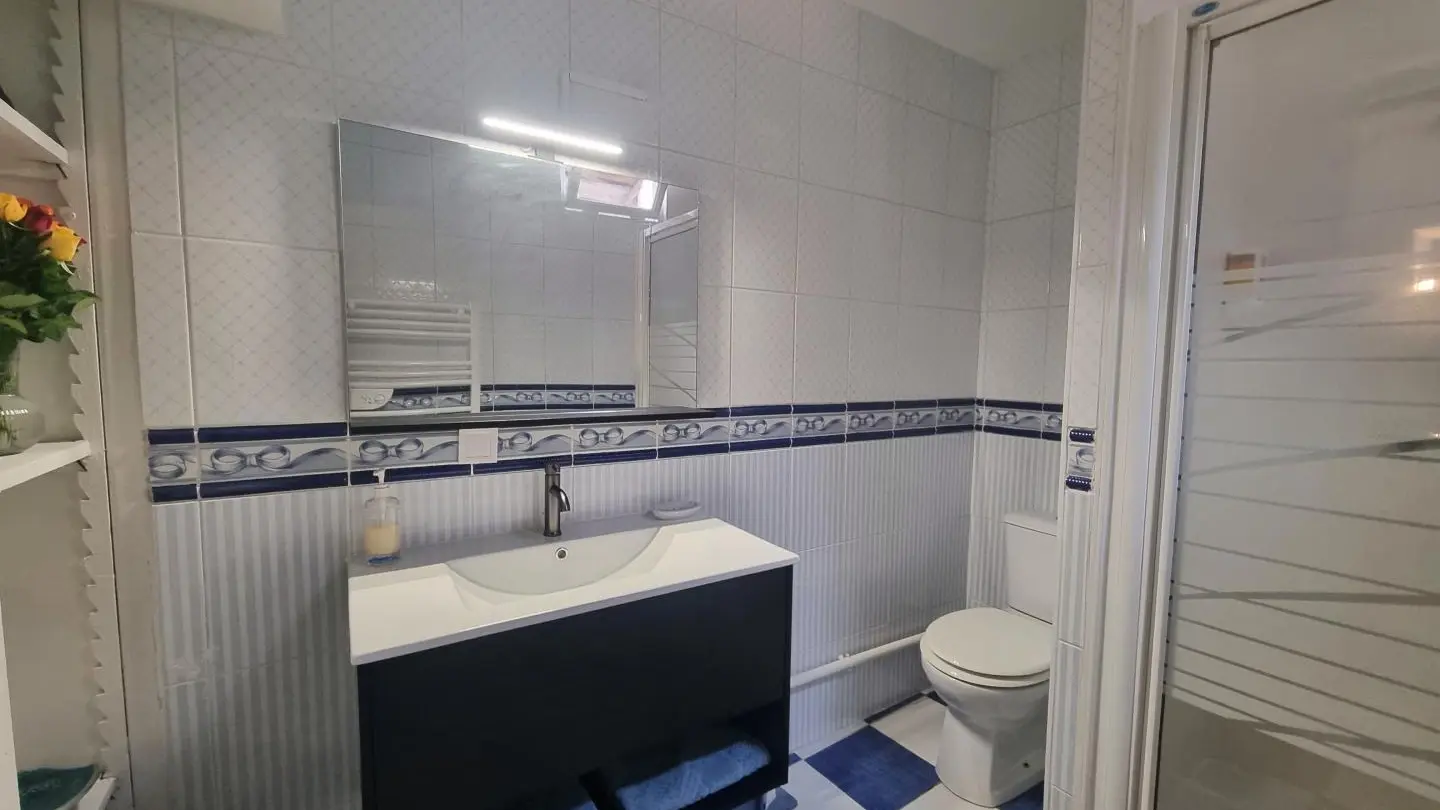 Salle d'eau disposant d'une douche - vasque et WC.