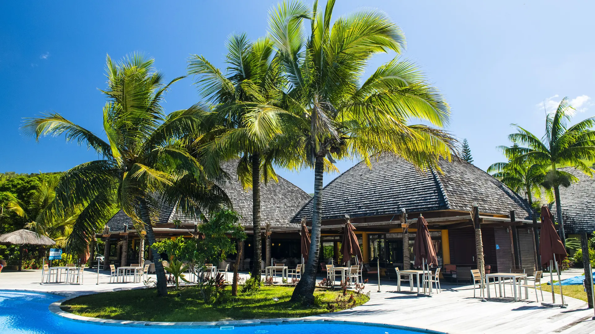 piscine, cocotier, restaurant, barringtonia, poindimié