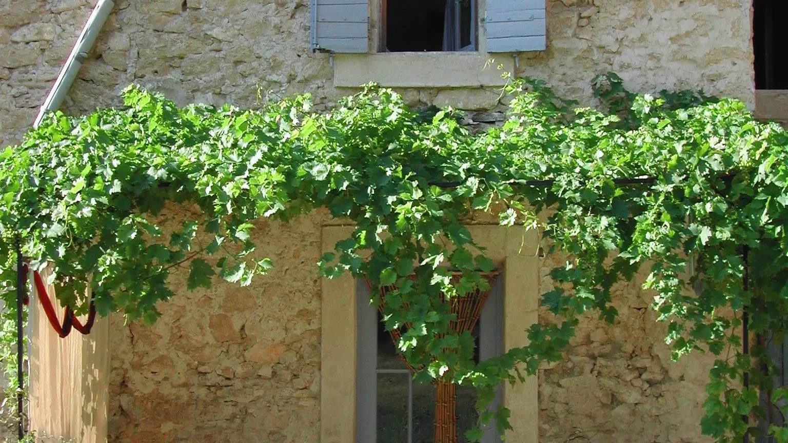 Gîte La Vigne