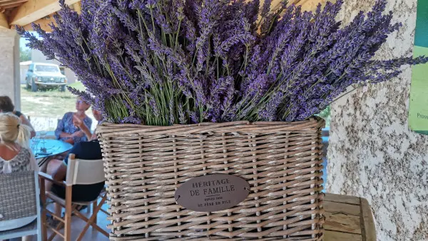 Visit winery and lavender farm