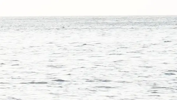 Catamaran sail ride in Frioul islands