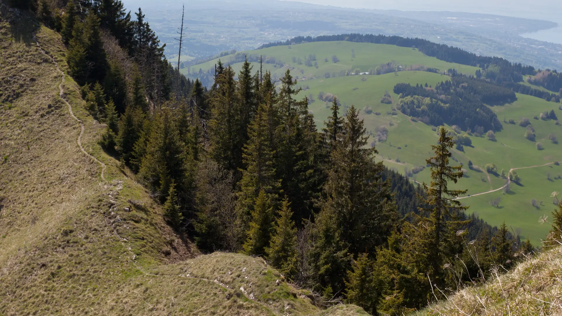 Vue sur Thollon et Léman depuis Col de Pertuis