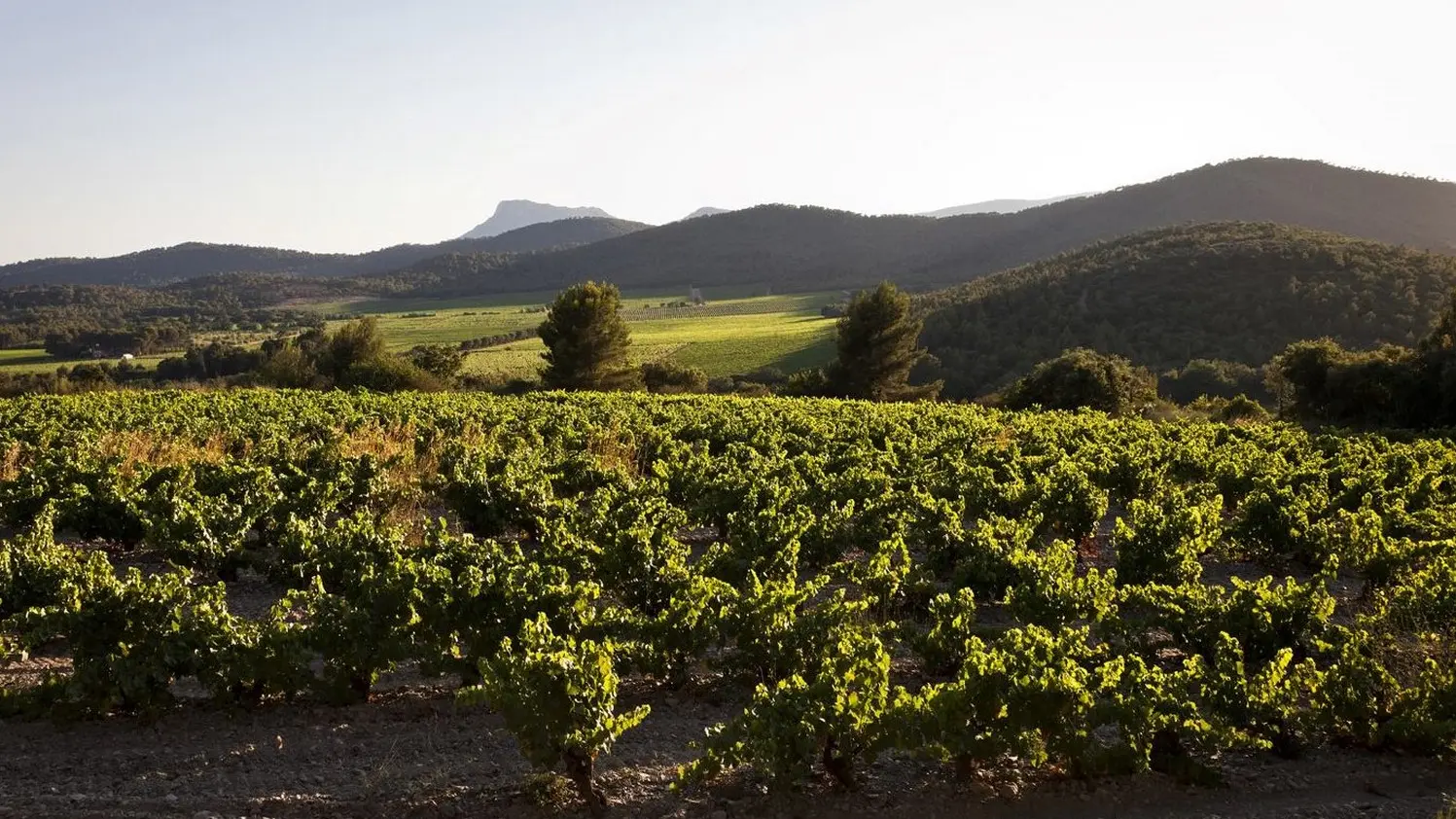 Château La Gordonne AOP Pierrefeu du Var