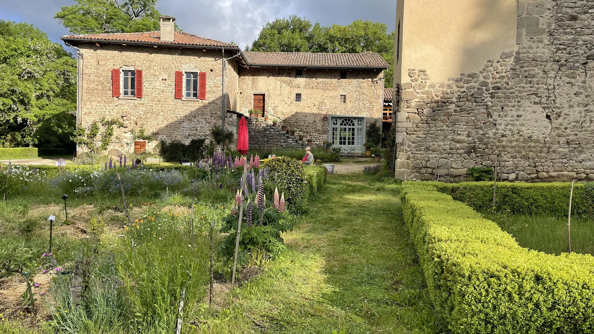 Entre potager et jardin de bouis