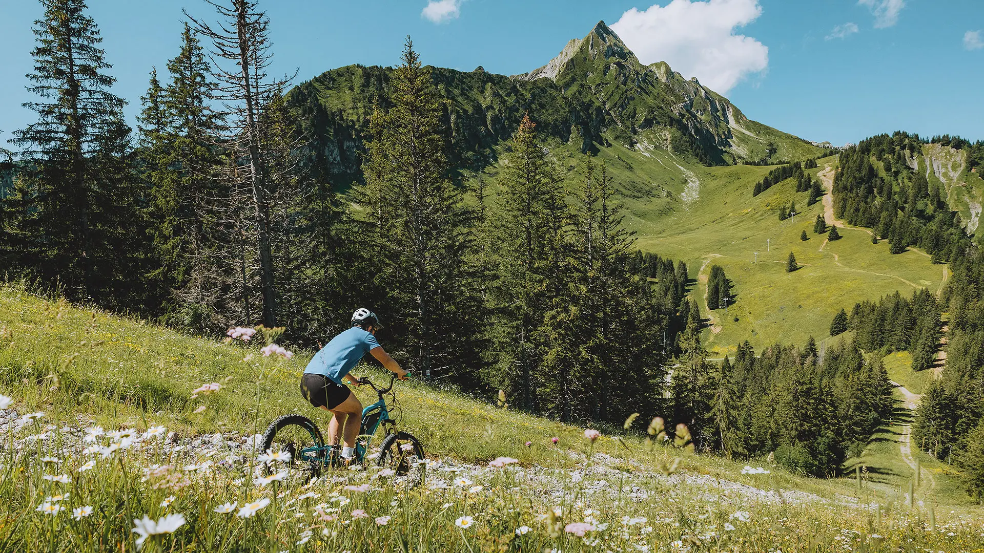 Trottinette de descente