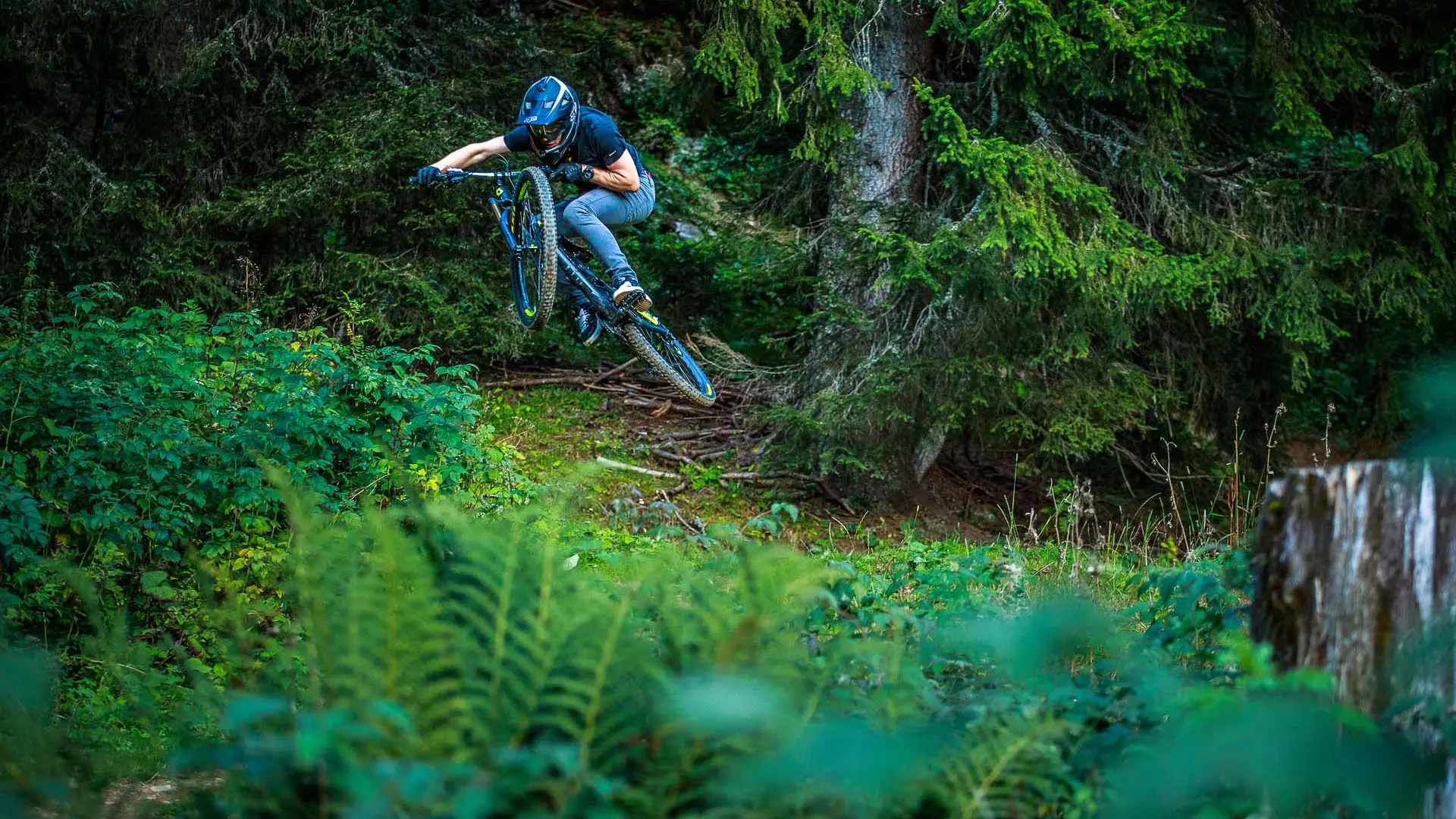 Bike Park Châtel