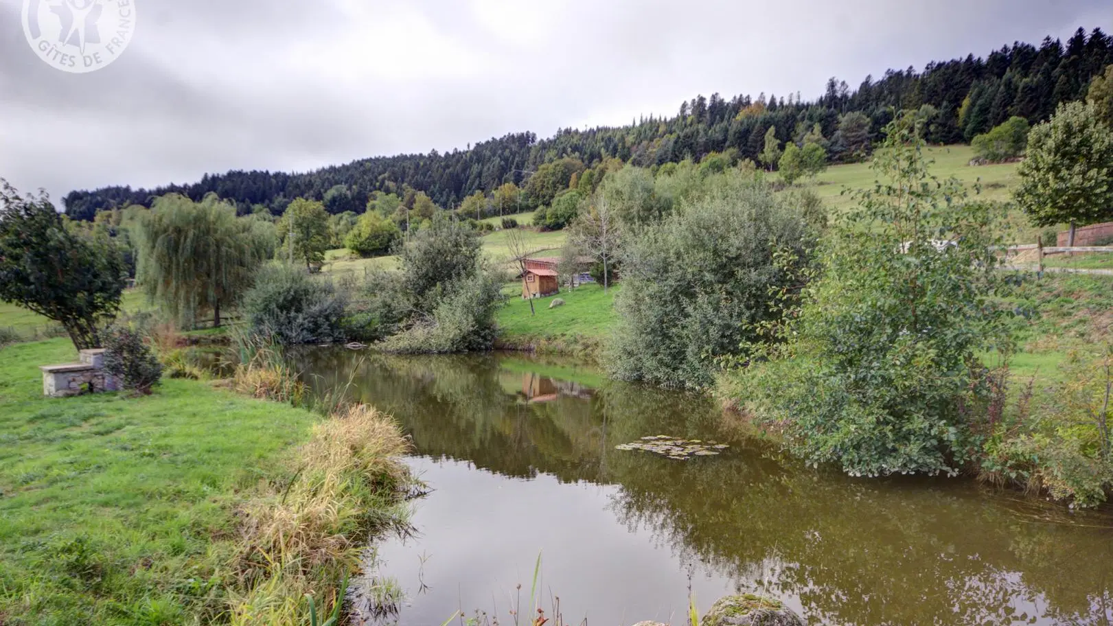 Étang privatif au gîte. Pêche possible