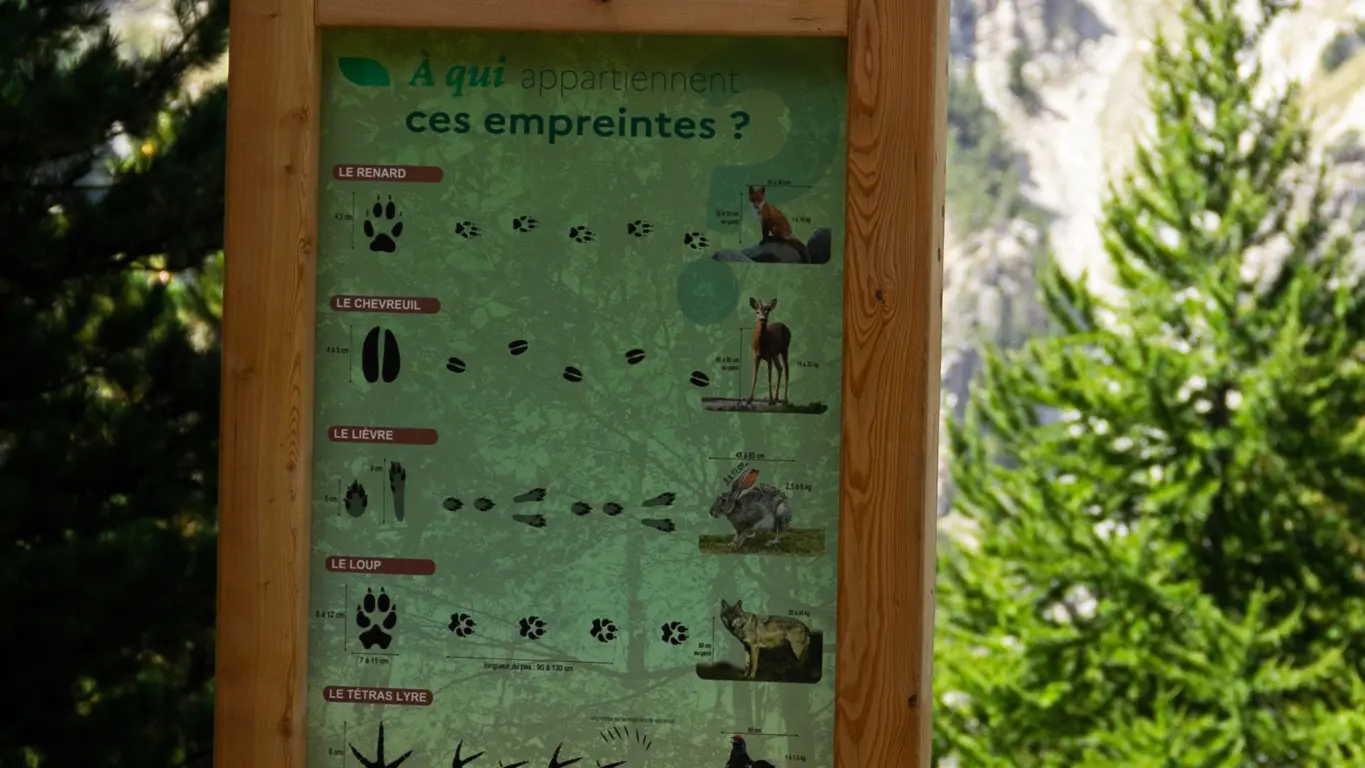 Panneau pédagogique le sentier pédagodique de la Taure