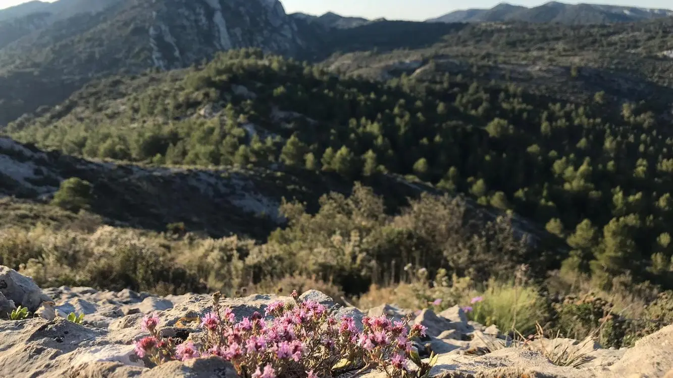 La Nature Ã  perte de vue