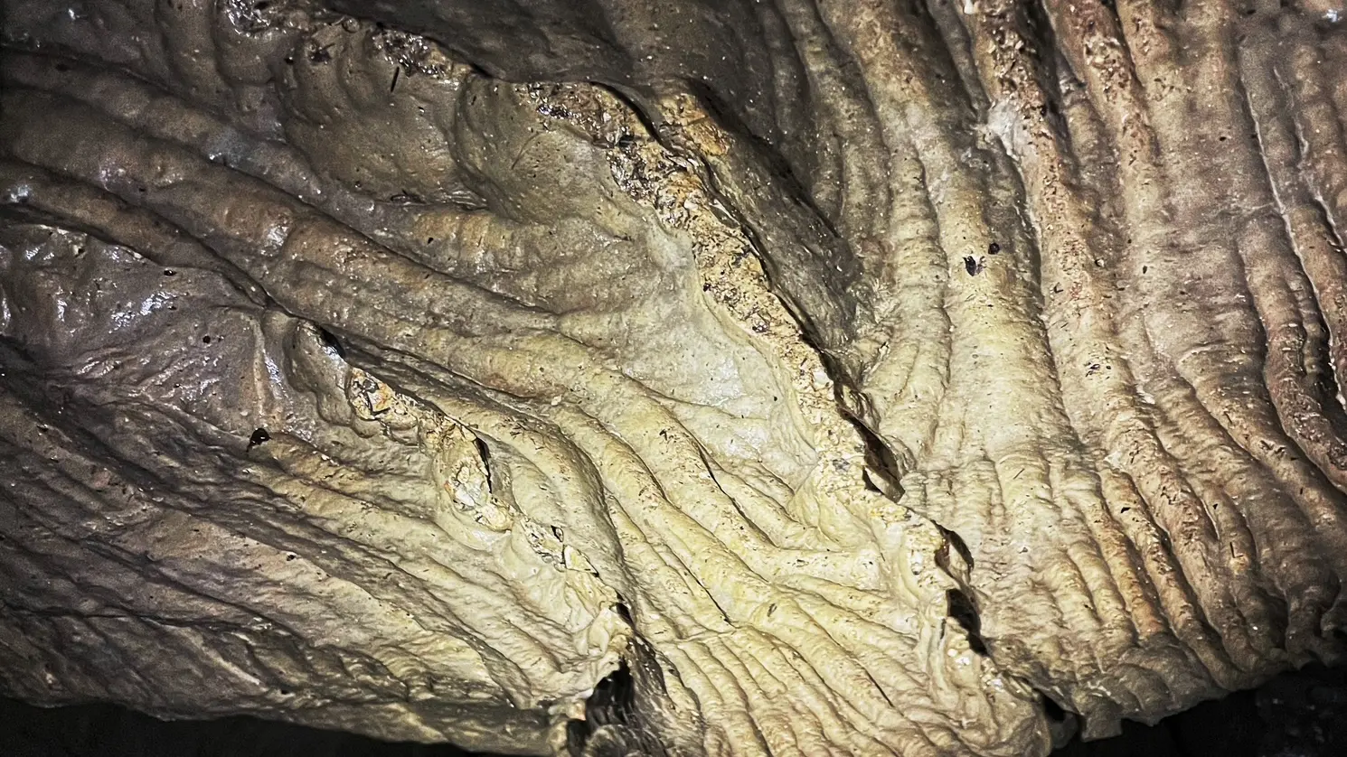 Une exploration verticale et mystique, taillée dans la pierre., avec Ecrins Spéléo Canyon