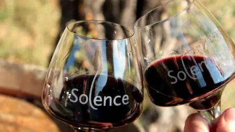 Les secrets des plantes du Domaine Solence