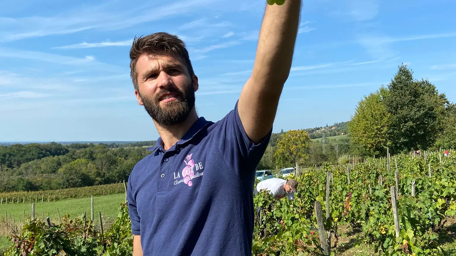 Vendanges 2024