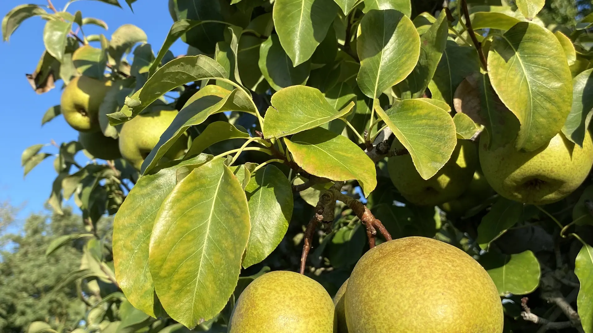 jeu interactif à Moras-en-Valloire