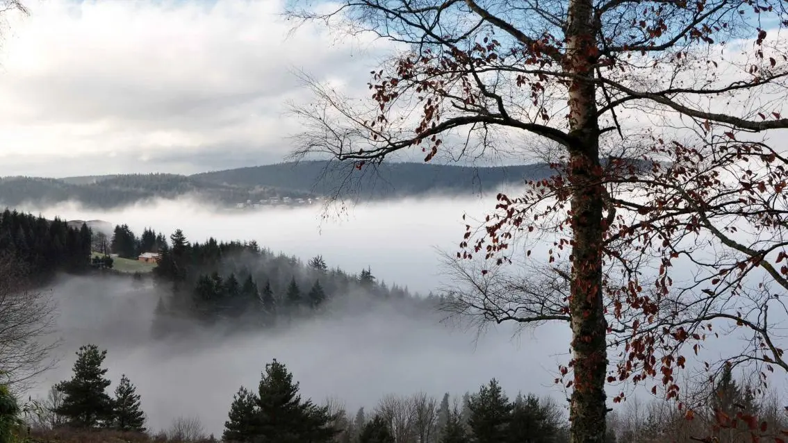 Au dessus des nuages...
vue depuis le gîte