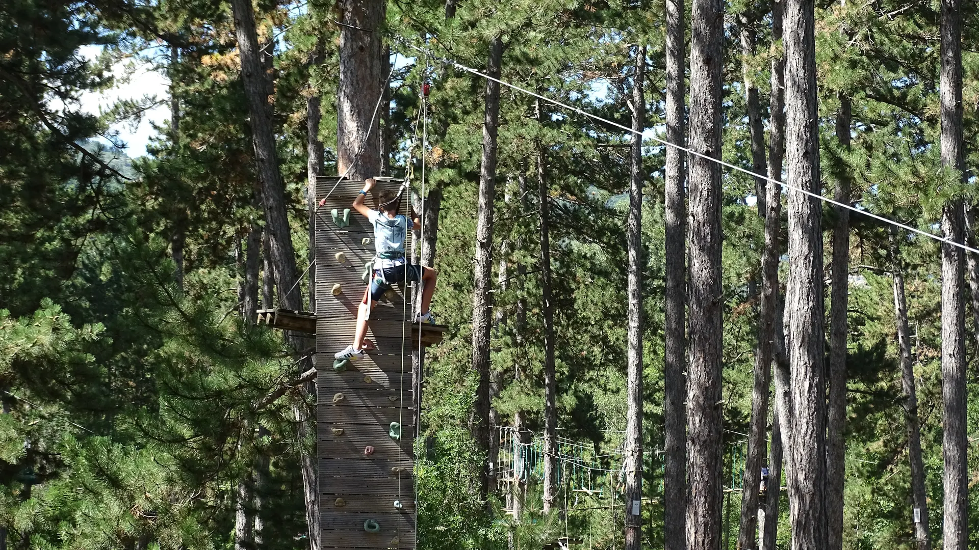 Arbre et aventure en Pays Dignois