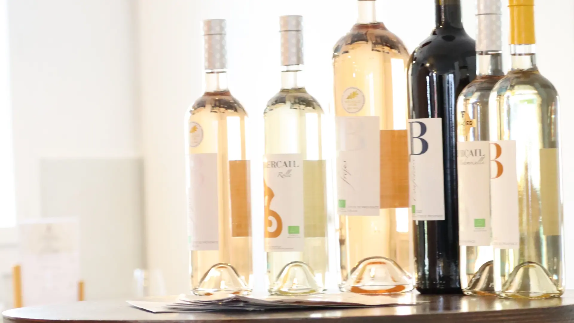 Immersion dans un domaine solidaire et engagé_Puget-sur-Argens