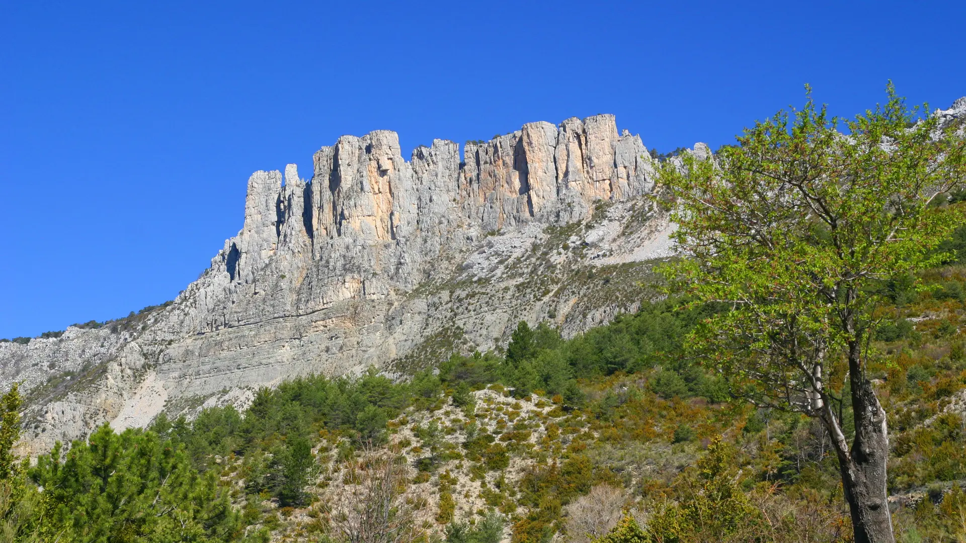Cadières de Brandis