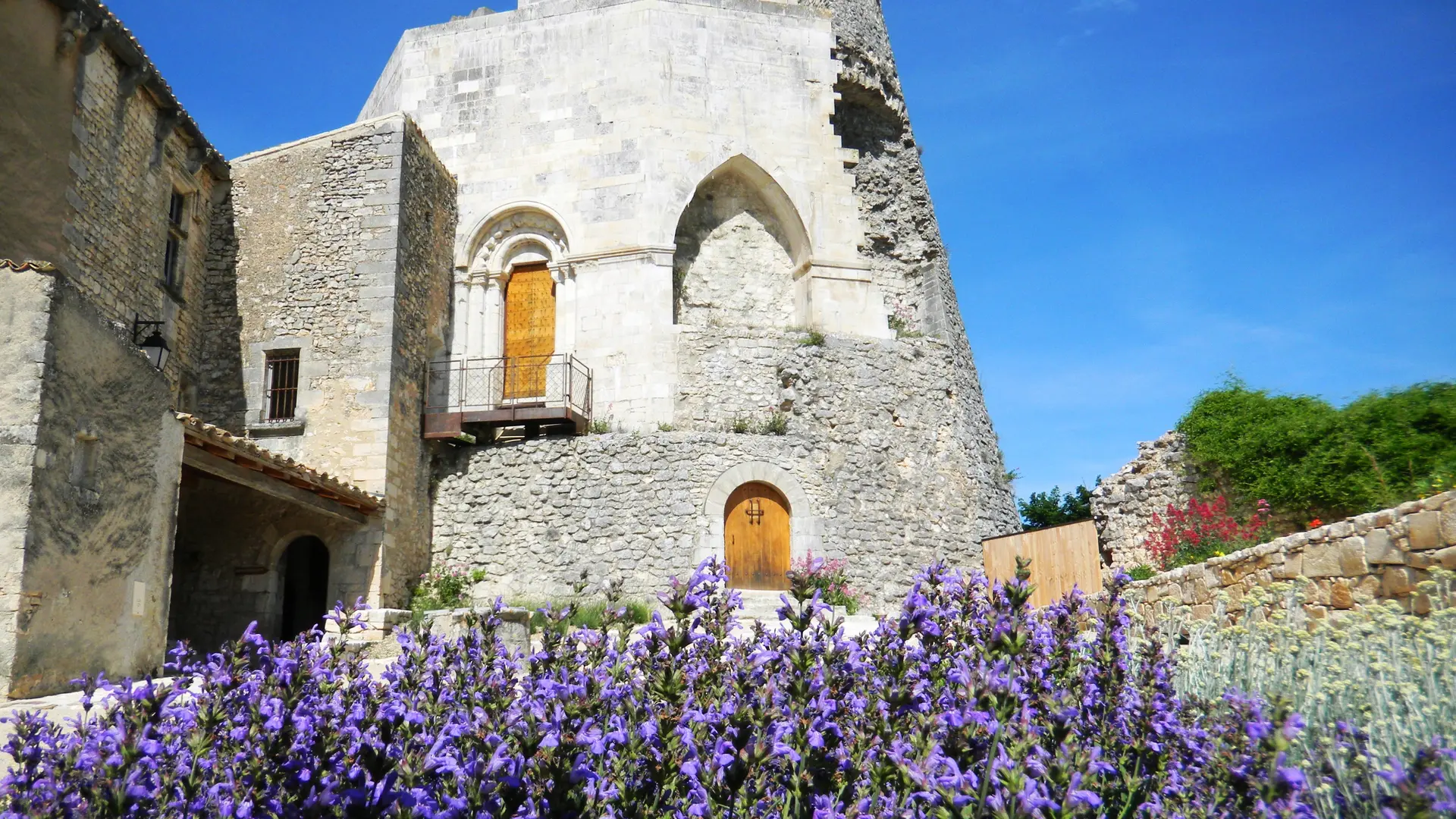 Vue sur le donjon du château depuis la cour castrale transformée en jardin sec