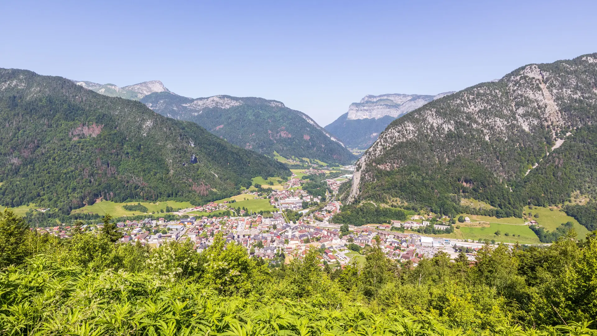panorama