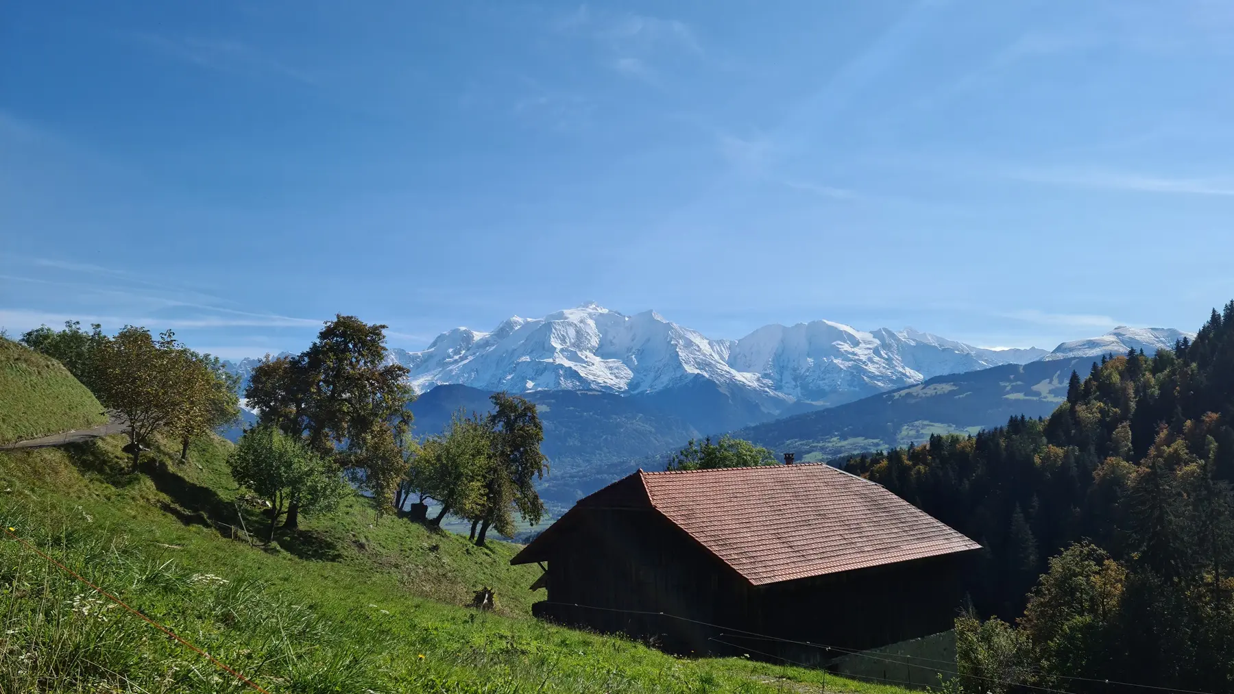 vue sur le Mont-Blanc