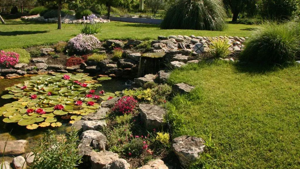 Collection Couleur Lavande