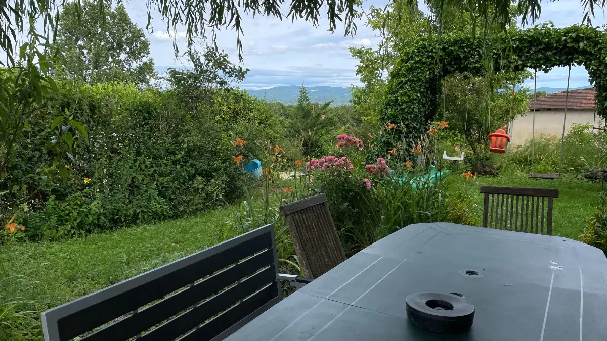 Sous le saule. Au fond, Le Bugey et le chateau des Allymes.
