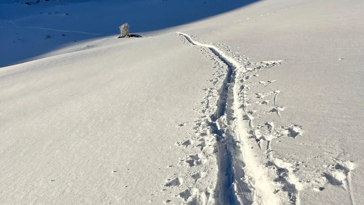 Col de cou en Hiver_Morzine