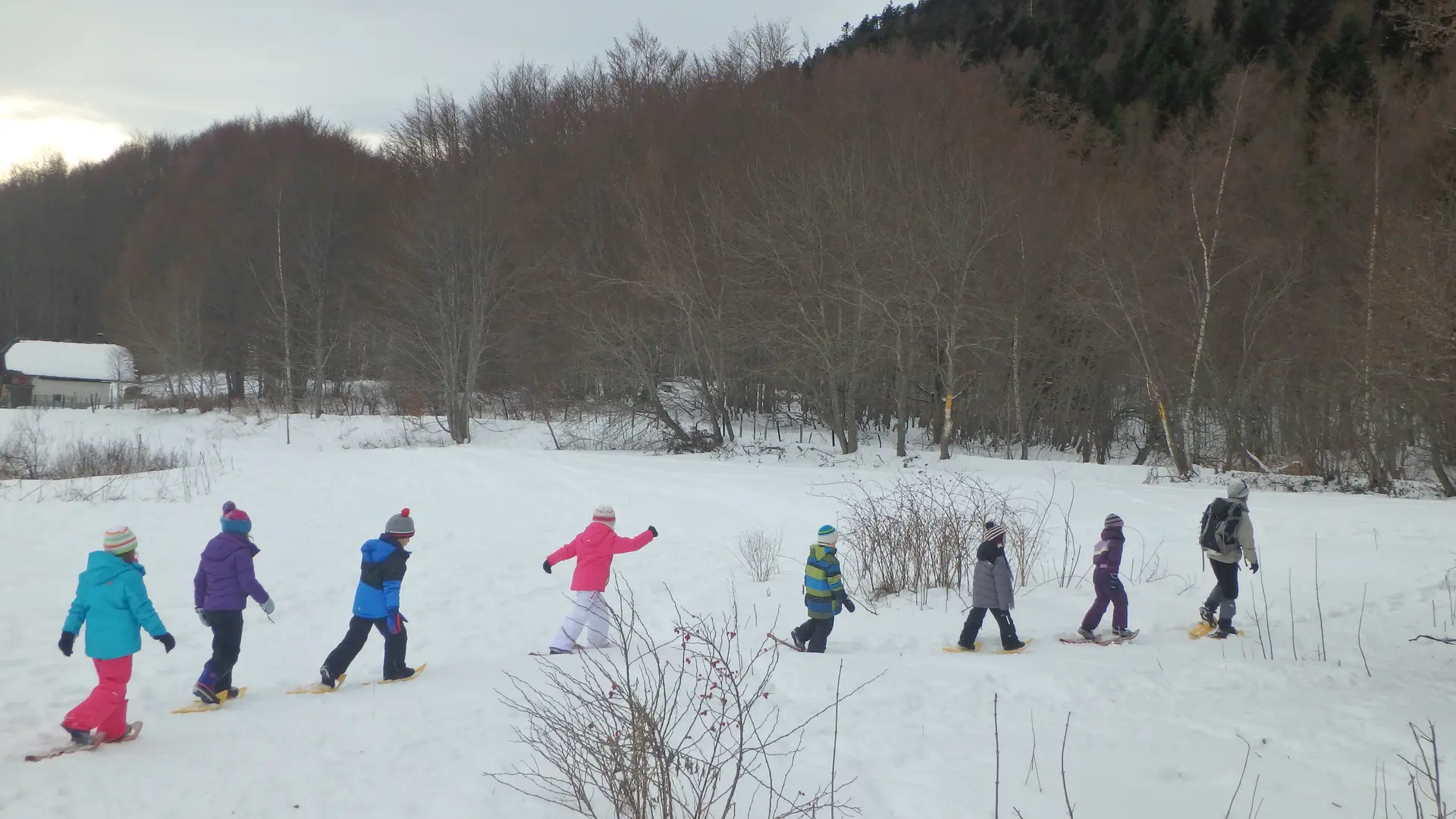 Hiver Sorties scolaires