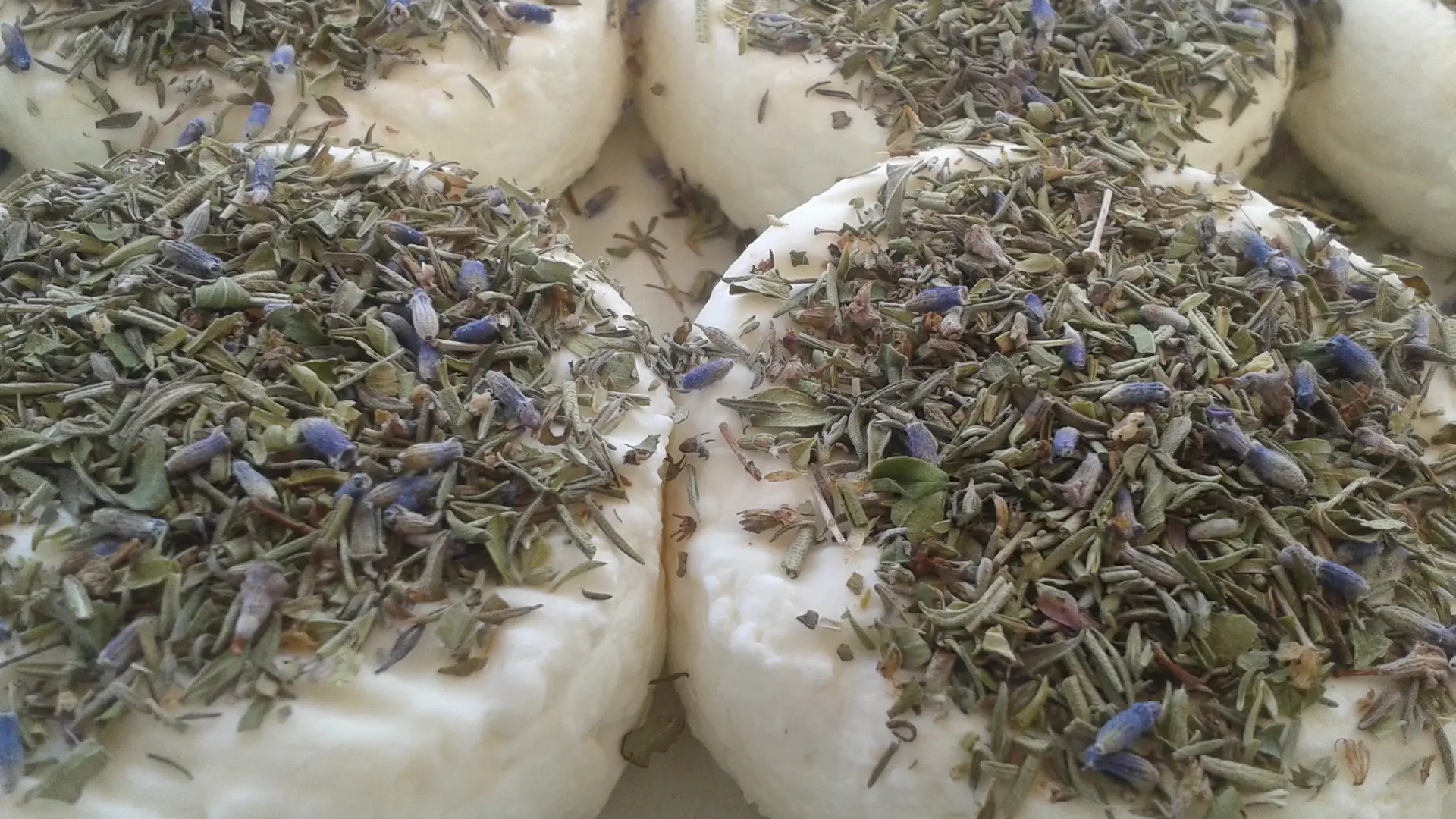 la draille des Roves