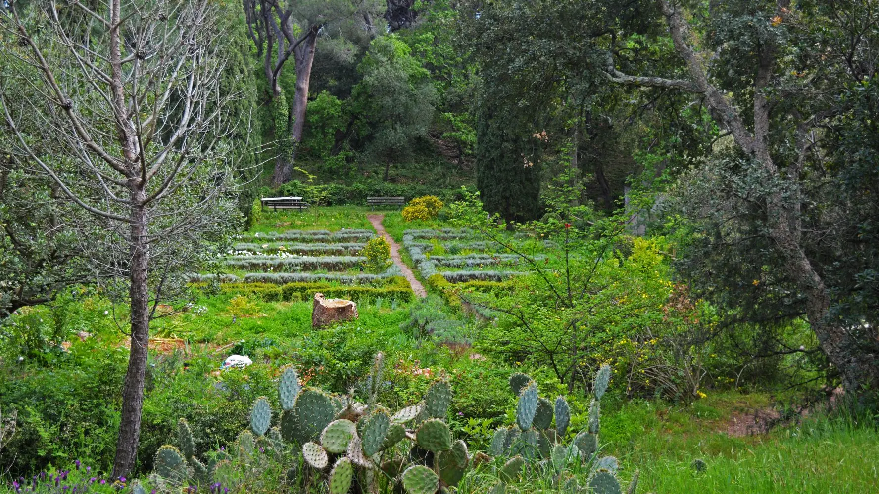 Promenade nature au Parc Aurélien