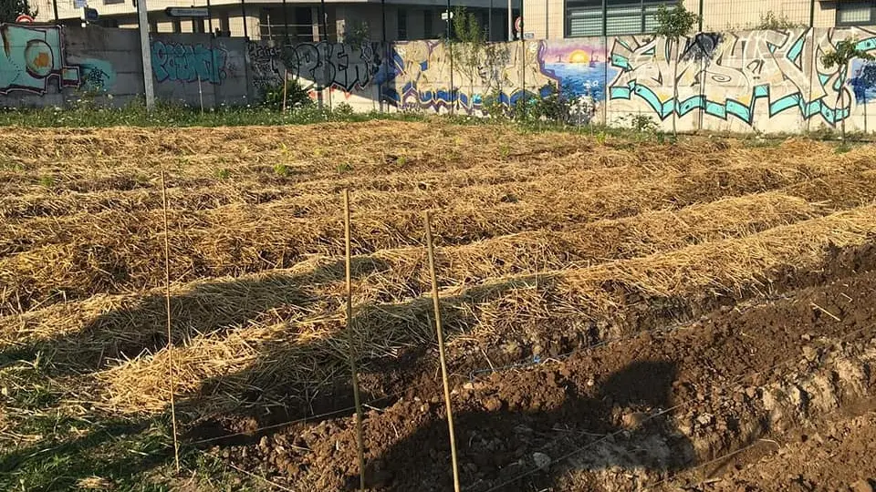 Ferme urbaine Terre Terre à Aubervilliers