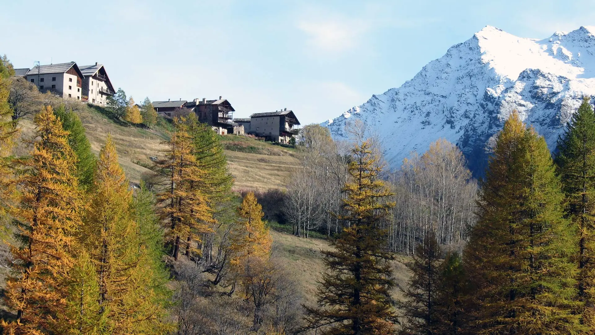 Chalet le Raux Automne