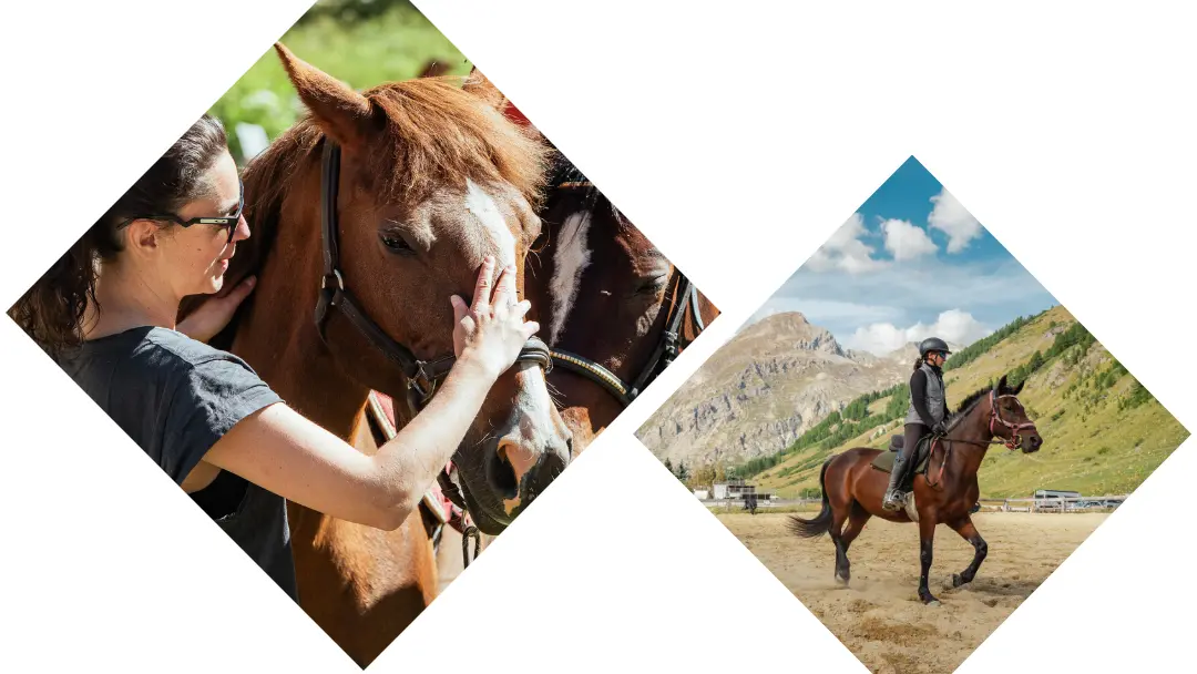 Photo portrait - Autour du poney