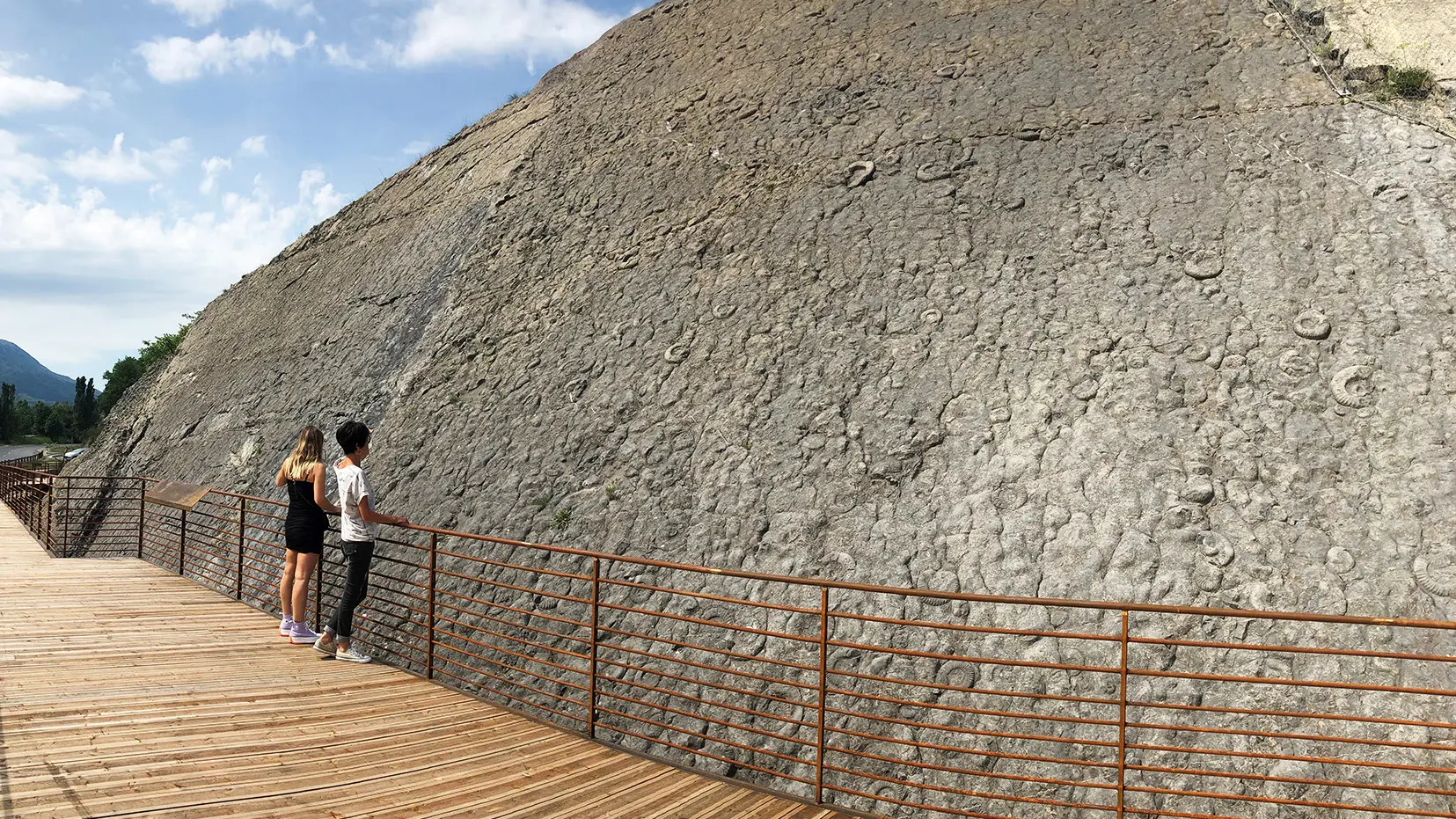 La Dalle aux Ammonites ©OT Provence Alpes