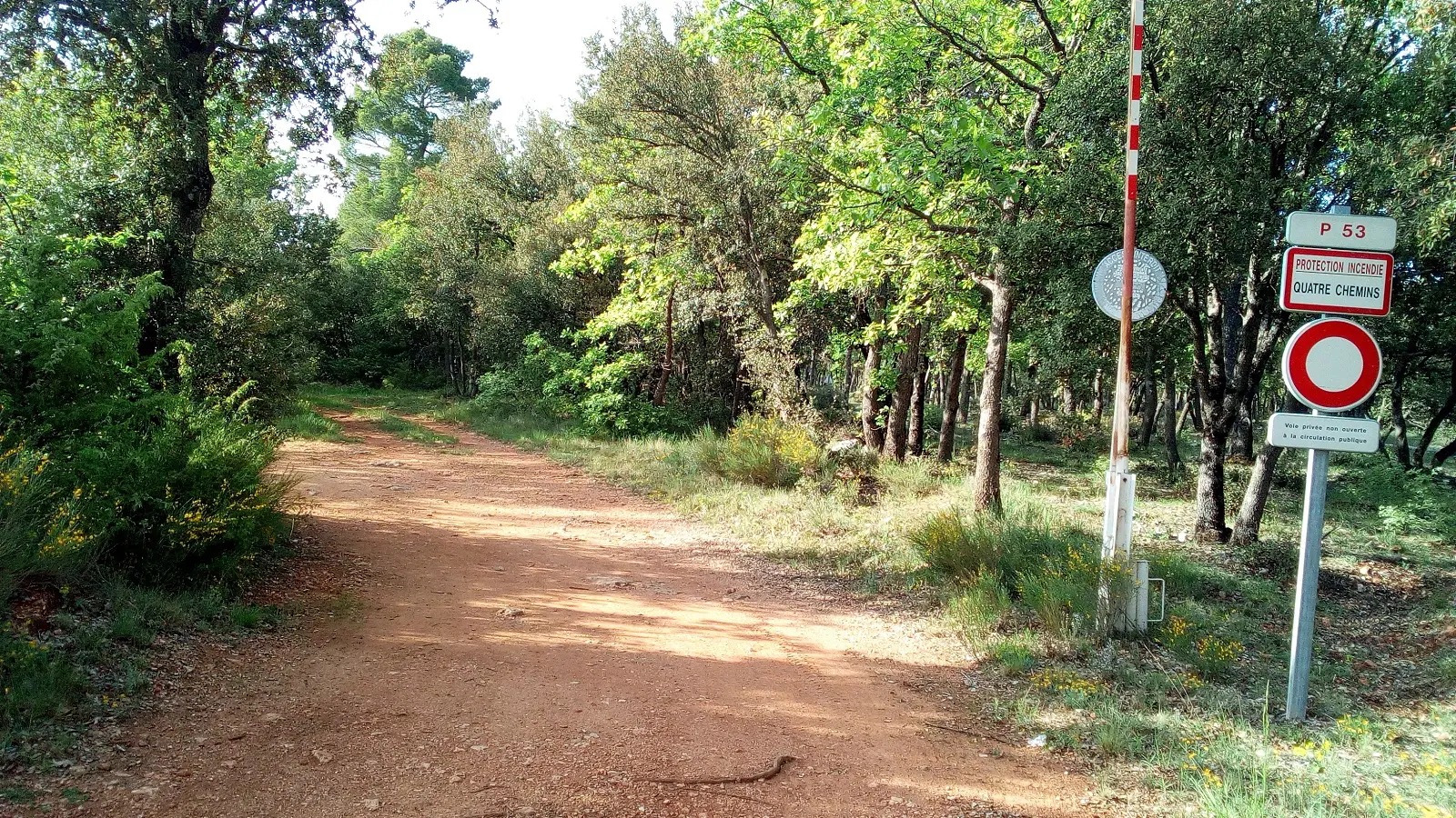 Piste DFCI « P53 quatre chemins »