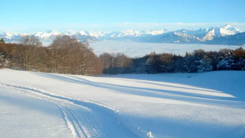 Piste de ski de fond au Salève