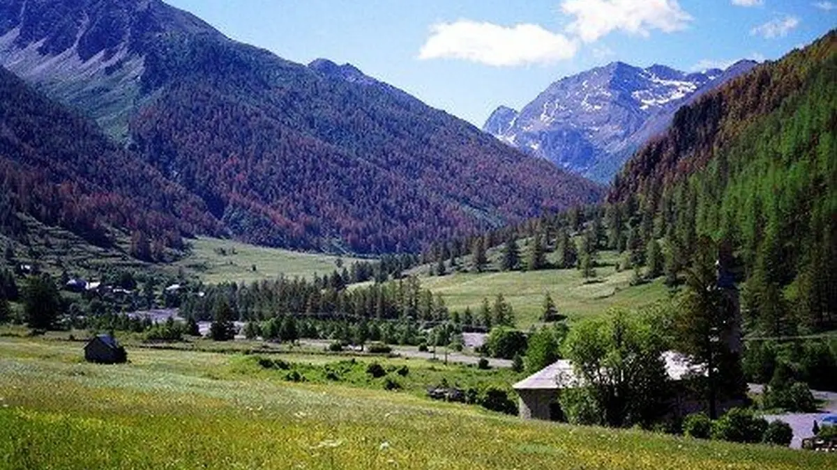 Intérieur camping en été -Vue paysage été