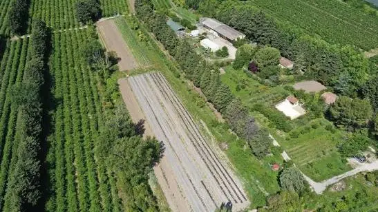 Vue aérienne de l'exploitation