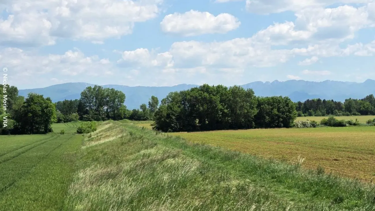 Le sentier des digues