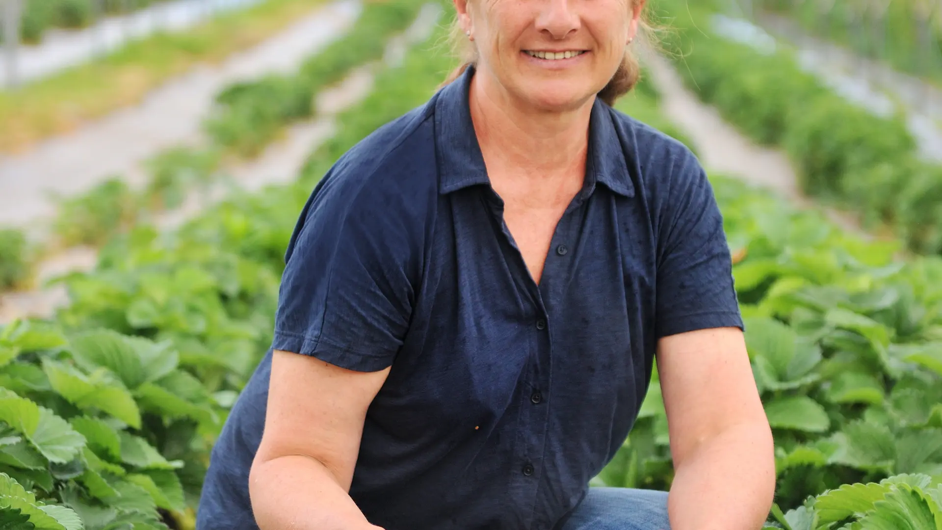 Christelle dans son champ de fraise