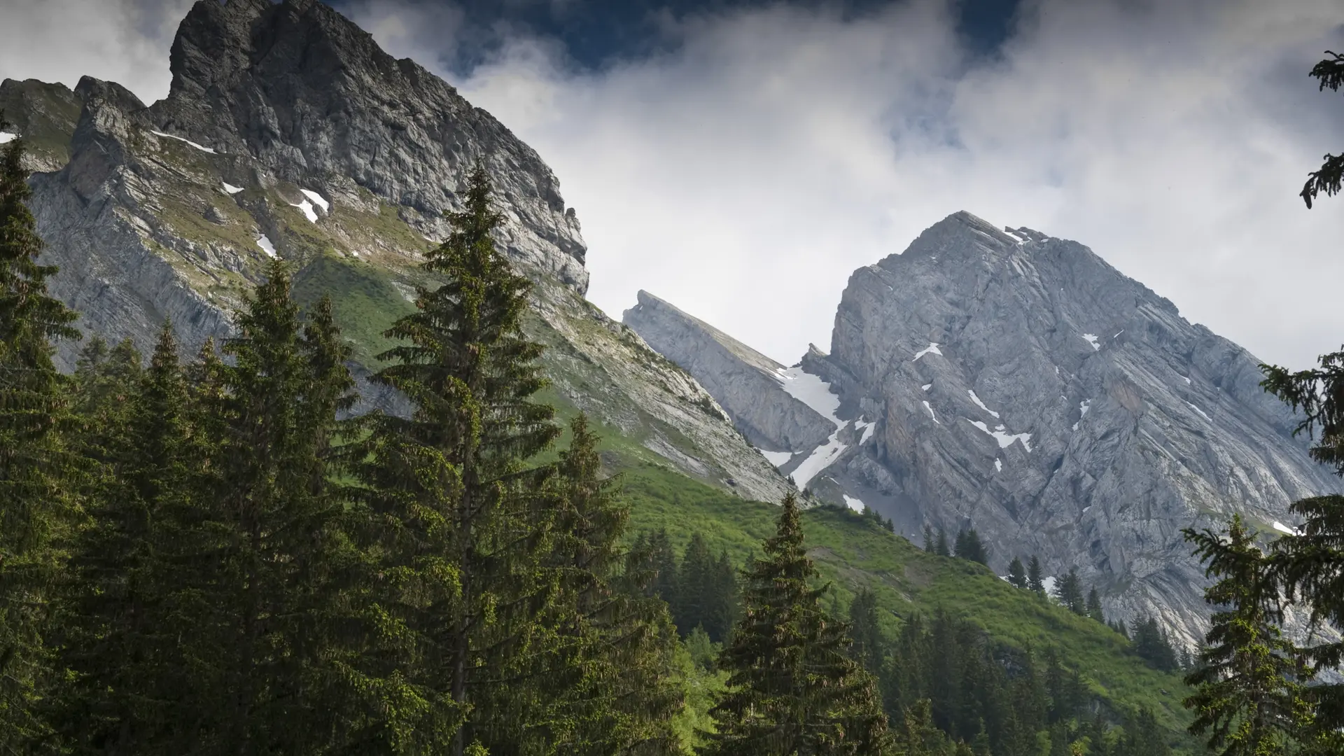 Combe de Tardevant