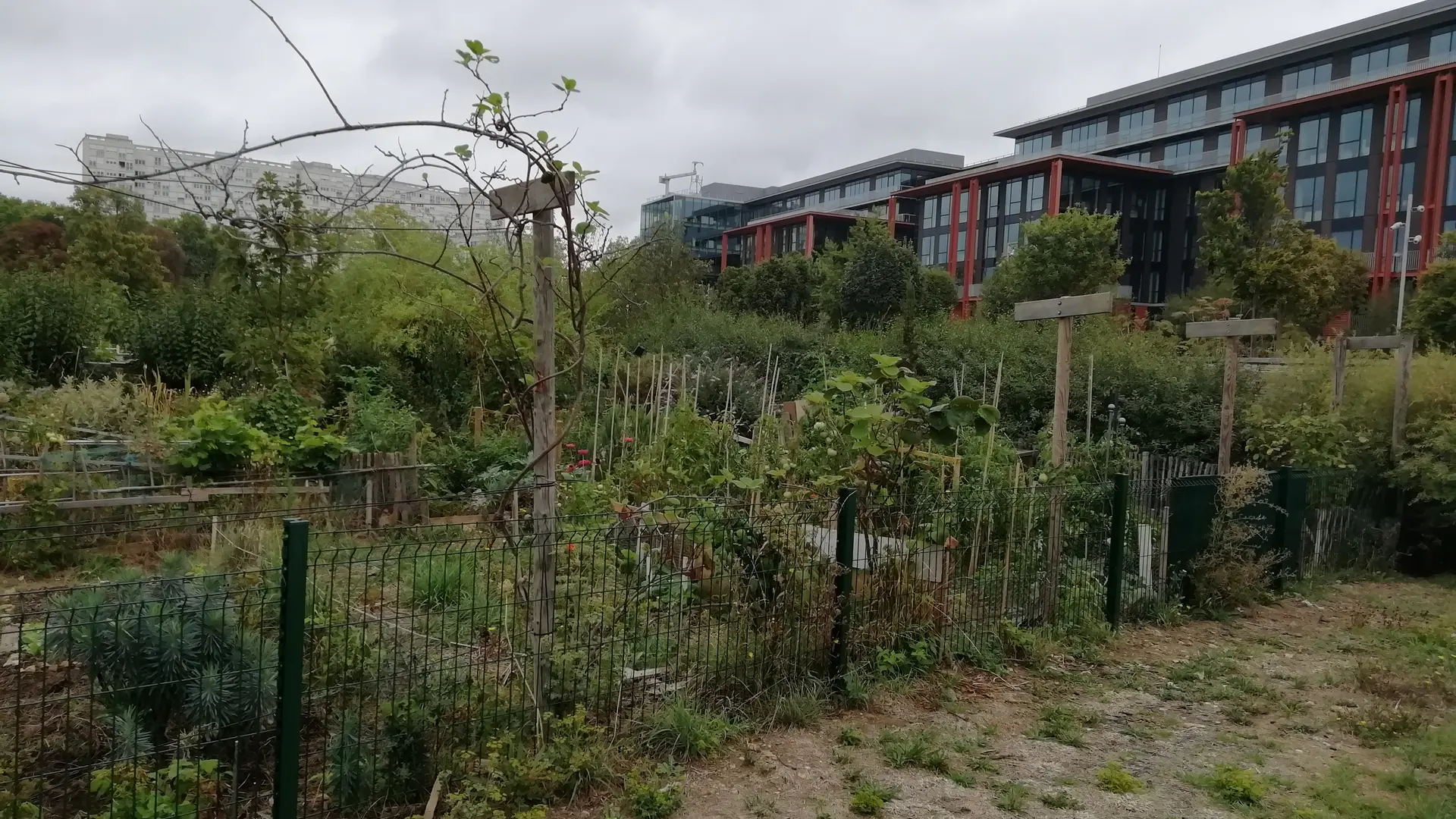 Jardins familiaux dans le Grand Parc