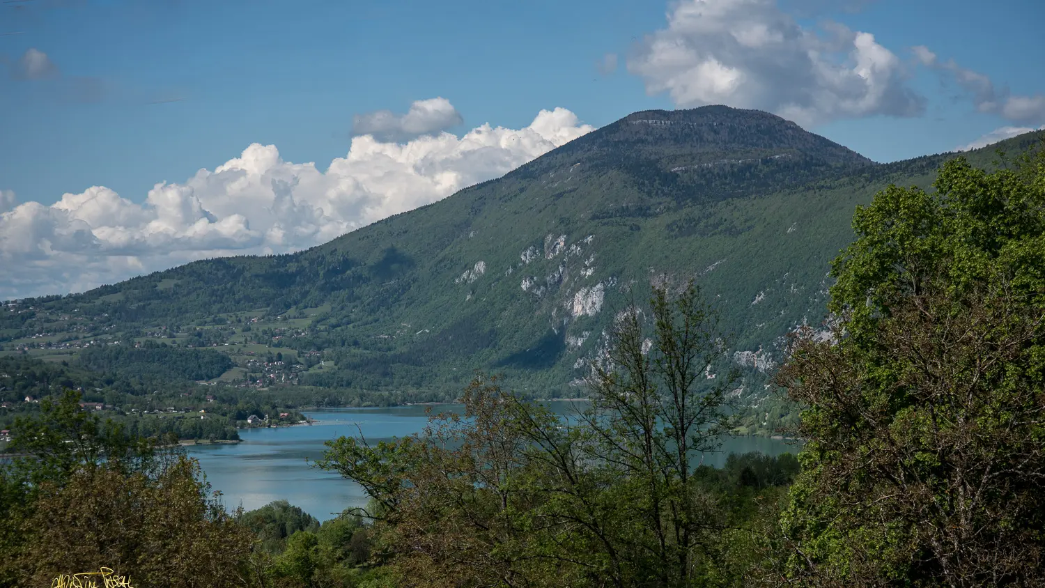 Christine Pascal - Photographe nature Aiguebelette