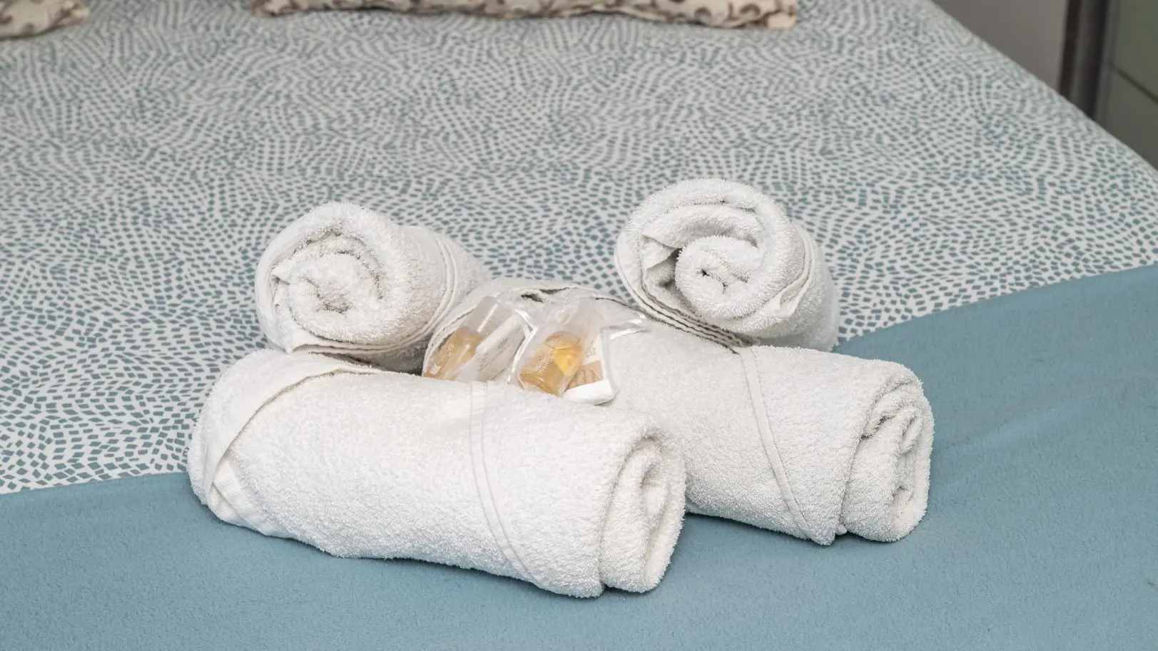 Le Cactus-chambre-Mas d'Angeline-Beausoleil-Gîtes de France des Alpes-Maritimes