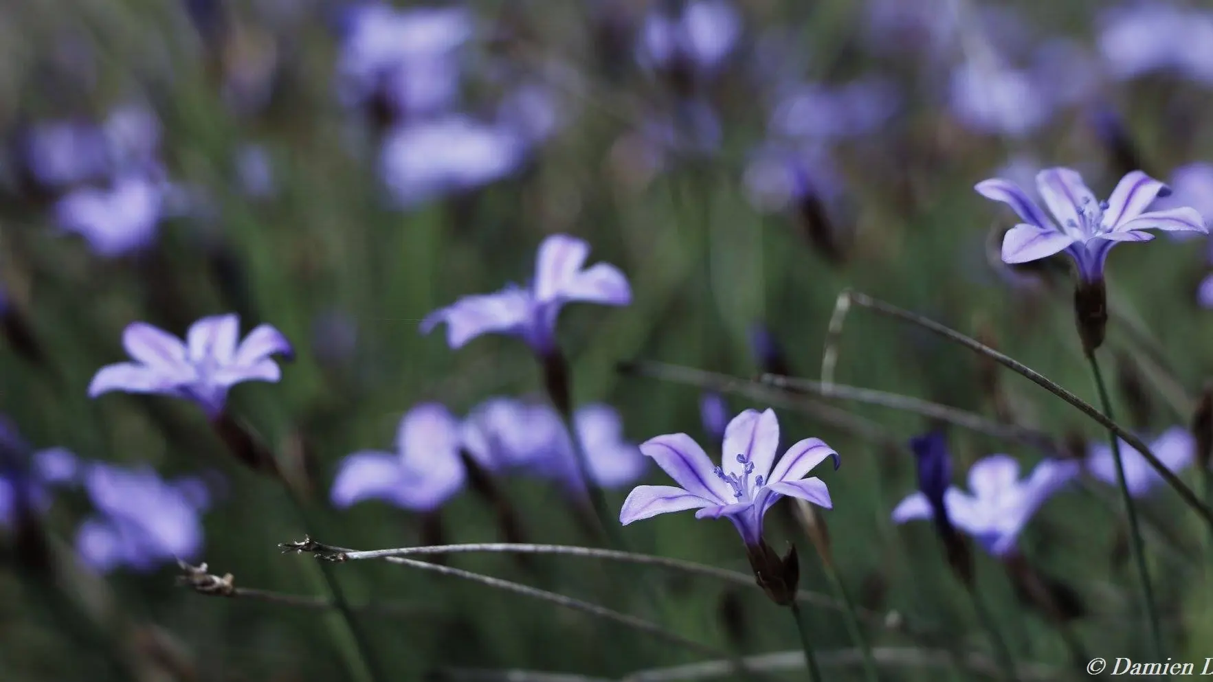 Petite boucle de l'Eygau