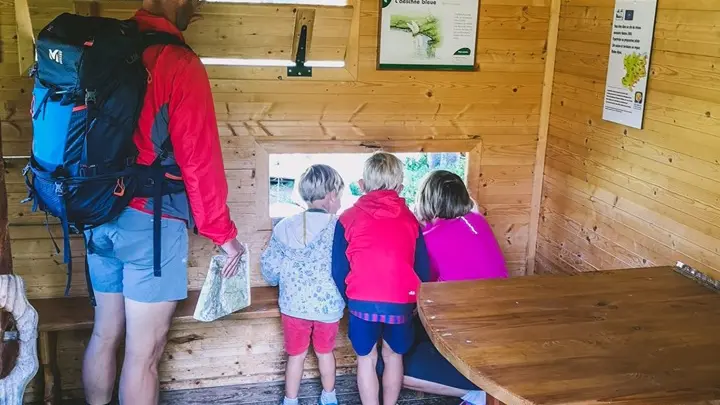Sentier des Arpelières - Découverte d'une véritable tourbière préservée