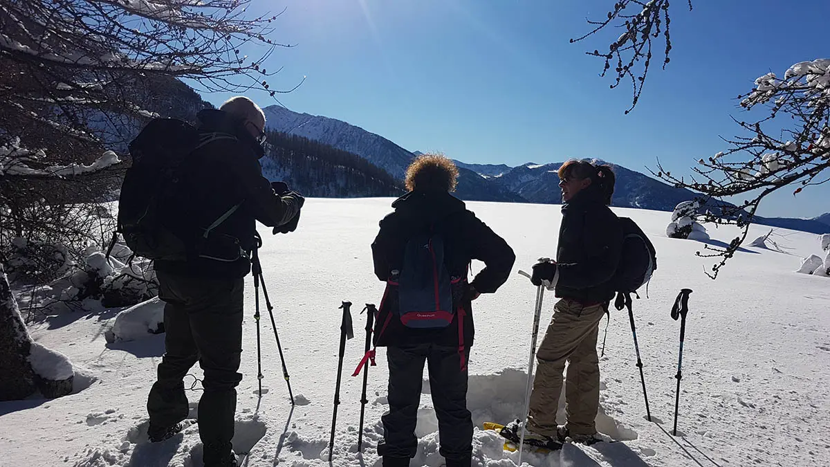 Sur les traces du Loup