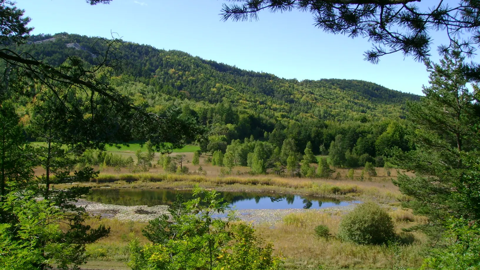 Le Lac de Saint-Léger