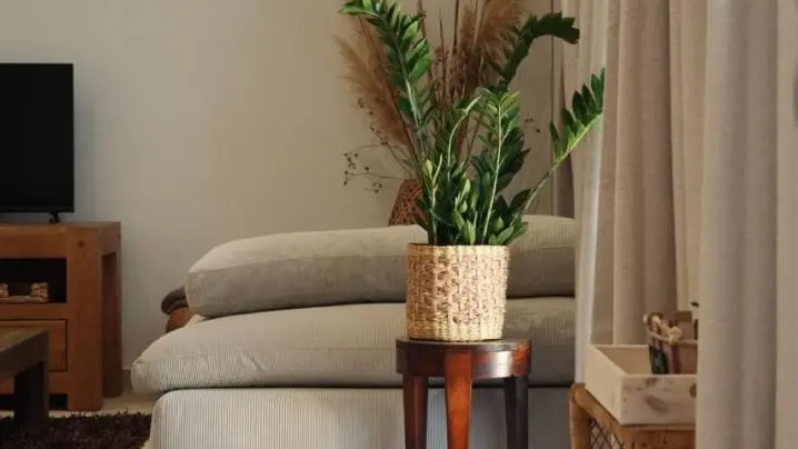 Gîte l'EnVie de Bonheur -séjour -Gîtes de France Alpes-Maritimes